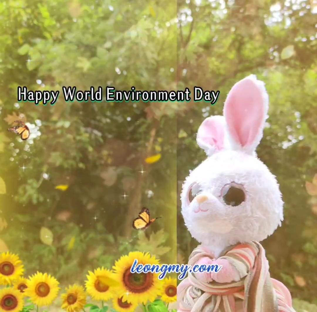 WorldEnvironmentDay